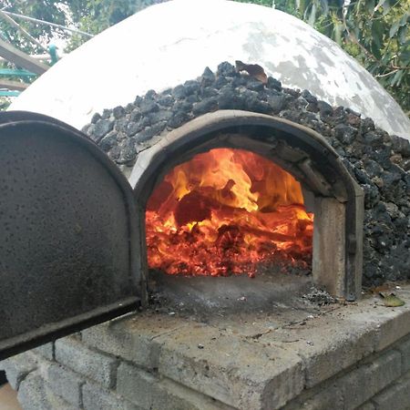 Finca Los Aguacates Trapiche  Εξωτερικό φωτογραφία