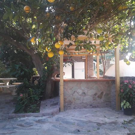 Finca Los Aguacates Trapiche  Εξωτερικό φωτογραφία